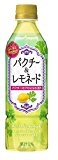 ポッカサッポロ ワールドレモネード パクチー&レモネード 500ml×24本