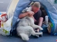 ハスキーがホームレスの人生を変えた？パリの街角で、愛犬と一人の男性との出会いが奇跡起こした物語