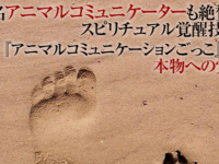 Dream Art Laboratoryのプレスリリース画像