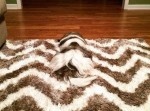 よ〜く見るとおかしな写真たち１０選