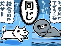 イラスト：森キノコ