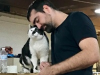 猫、またしてもヒゲメンを恋の罠に。自宅の隣に保護施設が引っ越してきたところから始まる猫とヒゲメンの物語