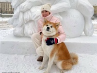 こんなに大きくなりました！ザギトワさんの愛犬「マサル」の今の姿