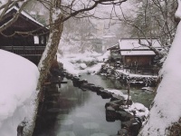広大な混浴露天風呂が並ぶ宝川