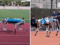 ロボット犬が100m走でギネス記録を更新。19.87秒という史上最速記録