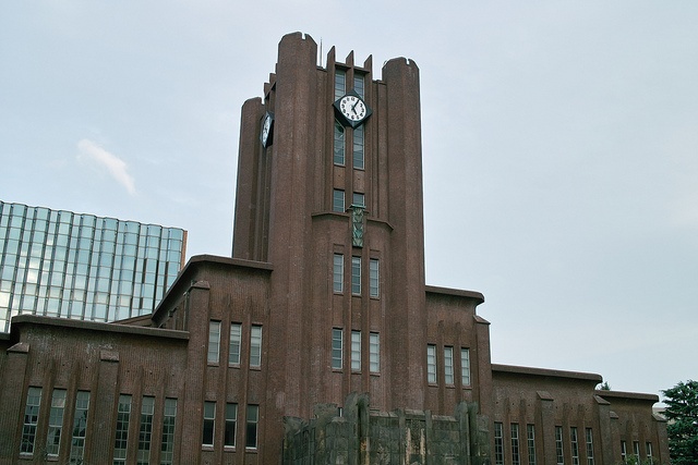 画像はイメージです（keiichi.yasuさん撮影、Flickrより）