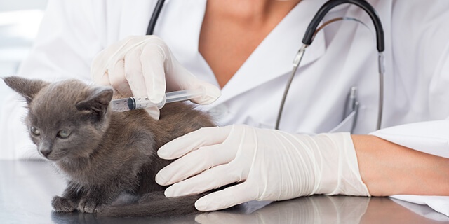 「Doctors Me（ドクターズミー）」コラム画像