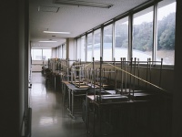 画像はイメージ（m_takahashiさん撮影、Flickrより）