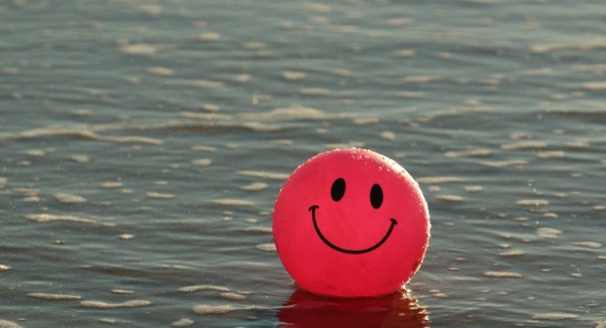 Dream Art Laboratoryのプレスリリース画像