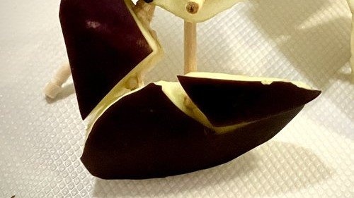 「これはお見事！」「かっこええ...」　ご先祖様のせて帰る〝精霊蟹〟のクオリティが凄すぎる