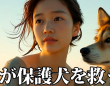 一般社団法人 保護犬のわんこのプレスリリース画像