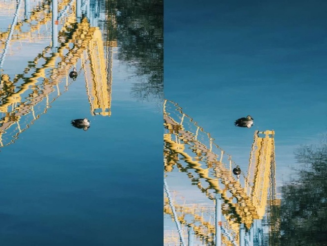 元の写真(左)と並べてみた