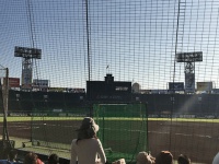 プロ野球ファンが見守ったトライアウト