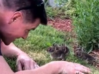 庭で赤ちゃんウサギが生まれていた！出会いに感動する人間男性とウサギたちのかわいさに関する海外の反応