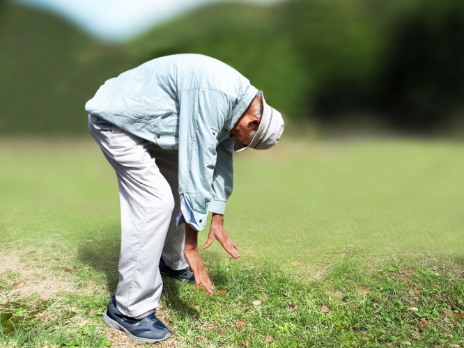 画像はイメージです