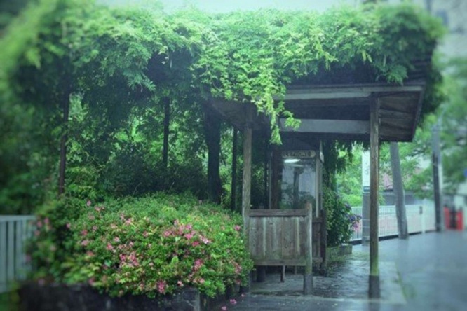 突然大雨に降られて...（画像はイメージ）