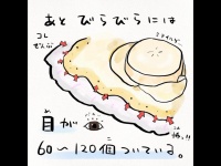 ひぇっ......全部「目」だったの、アレ？（以下、画像はさかなのおにいさん かわちゃん＠sakana_broさん提供）