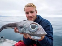 目玉の大きさがすごい！巨大な目を持つエイリアンのような深海魚が釣り上げられる（ノルウェー）