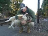 路上をさまよっていたハスキー犬に恋した男性、自分で飼う覚悟で連れ帰り飼い主探しを開始。その結末は？（アメリカ）