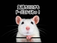 自分の意思で脳内麻薬「ドーパミン」を放出することができることが、マウス実験で判明