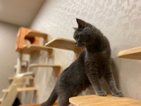 有限会社 Coo&amp;RIKUのプレスリリース画像