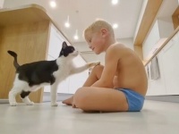 弟がもうすぐ6歳になるニャ！保護猫プーシクくん、大きくなった弟くんにすりすりスキンシップ大爆発