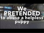 目の前で犬が虐待されてたら….　とある実験動画が話題に