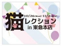 にゃんこに癒される（画像は公式サイトより）