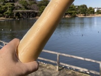 もはや恐怖映像...横浜・三溪園での〝鯉のエサやり〟が大迫力すぎ　2.7万人戦慄「トラウマになりそう」