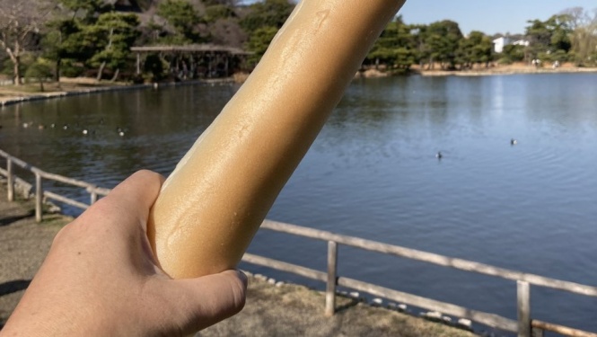 もはや恐怖映像...横浜・三溪園での〝鯉のエサやり〟が大迫力すぎ　2.7万人戦慄「トラウマになりそう」