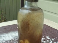 呪いの儀式用？「魔女の瓶」と思われる毛髪と歯、虫と尿が入ったガラス製の小瓶が発見される（アメリカ）