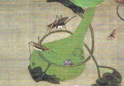 『動植綵絵』“池辺群虫図”（バッタの求愛部分）画：伊藤若冲