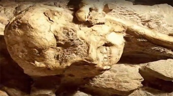 初期人類の有名な化石「リトルフット」は新種である可能性が浮上
