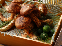 みなとみらいPRセンターのプレスリリース画像