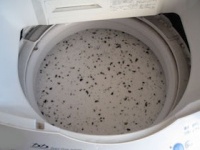 カビや雑菌が繁殖しやすい洗濯槽には、こんなに汚れが！（写真：シャボン玉石けん）