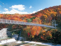 宮城県のプレスリリース画像