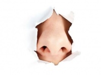 最近の人はこのニオイを嗅いだことがあるだろうか？時代とともに消えゆく9のニオイ