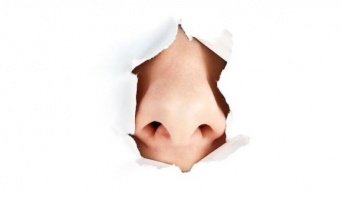 最近の人はこのニオイを嗅いだことがあるだろうか？時代とともに消えゆく9のニオイ