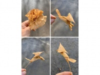 イチョウが狐に変身...！
