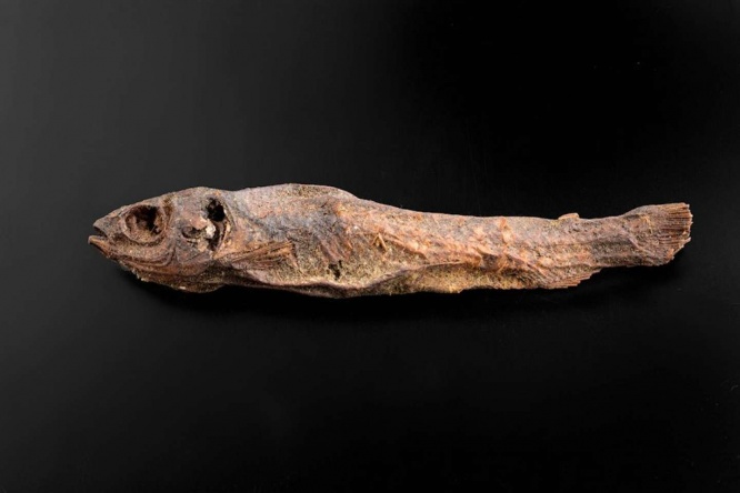 「魚のミイラ」（写真提供：古代エジプト美術館）