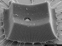 超軽量で防御力の高い鎧が誕生！ナノスケールの筋交い構造で、最強ケブラーの防御力すら凌駕する新素材