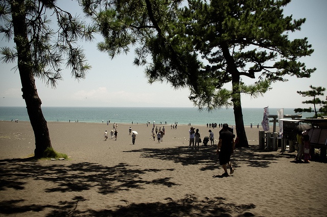Shizuoka Beach