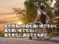 株式会社シャムヴェラファイのプレスリリース画像