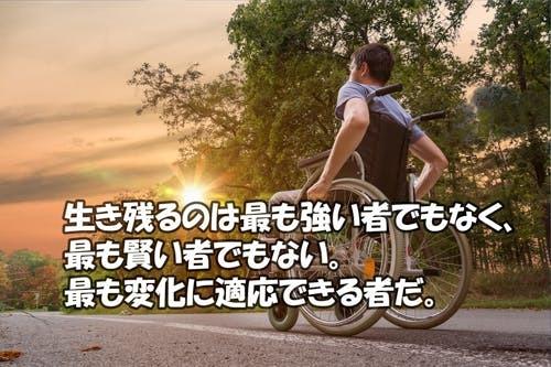 株式会社シャムヴェラファイのプレスリリース画像