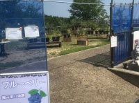 ネイチャーダイン株式会社のプレスリリース画像