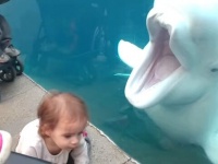 真似っこされたり水かけられたり！水族館での楽しいあるある総集編