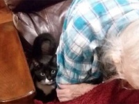 一番大好きで大切な人だから。病に伏せたおばあちゃんのそばから離れようとしない猫の愛情物語（アメリカ）