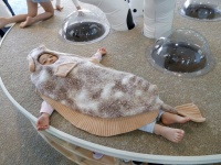 かわいい我が子がヒラメに変身！？　「アクアマリンふくしま」の生まれ変わった子供コーナーがめっちゃイイ