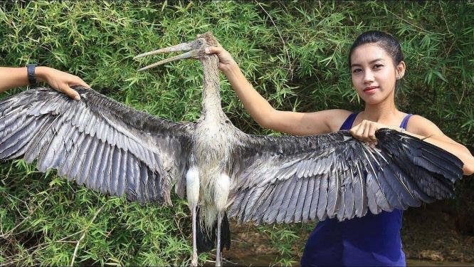絶滅危惧種を食べる夫婦