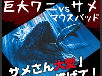 株式会社エバーグリーンのプレスリリース画像